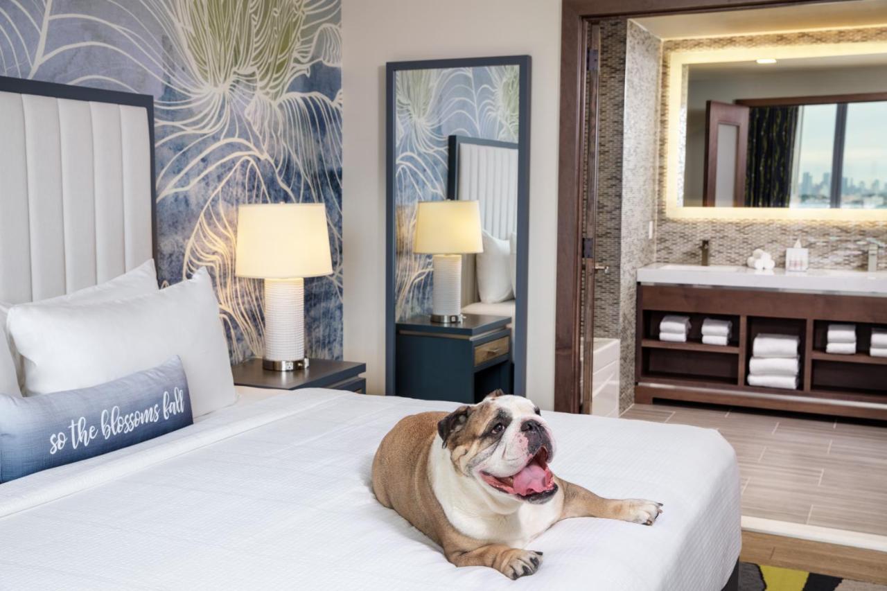 Hotel Indigo Flushing - Laguardia New York Extérieur photo
